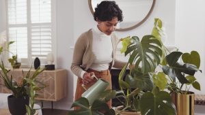 Leafy-Ease-Watering-Indoor-Plants