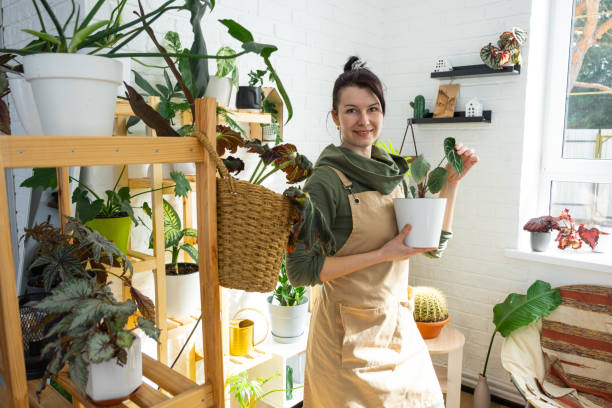 Shopping cart on a plant website showing different indoor plant varieties