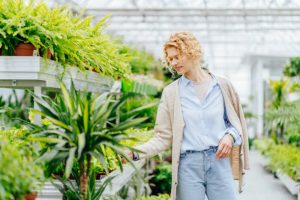 Shopping cart on a plant website showing different indoor plant varieties.