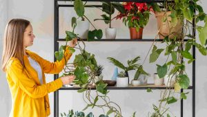 The-Best-Grow-Lights-for-Indoor-Plants