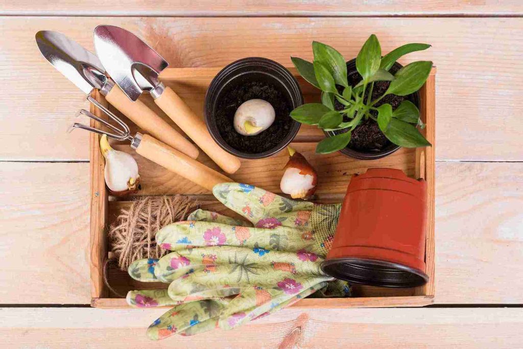10-household-items-that-shock-indoor-gardeners