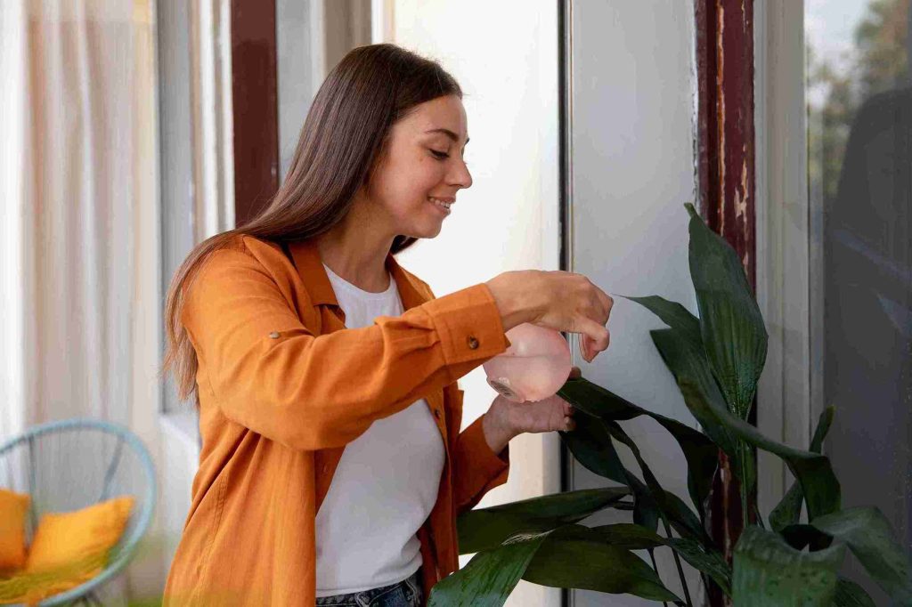 guaranteed-tips-to-keep-plants-alive-on-vacation
