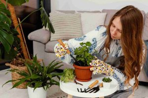 hidden-household-hacks-for-indoor-plant-care