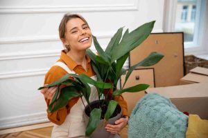 how-indoor-plants-can-boost-mental-health-and-productivity