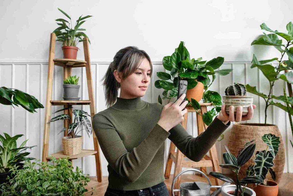 the-ultimate-guide-on-how-to-arrange-plants-in-your-home-for-maximum-growth
