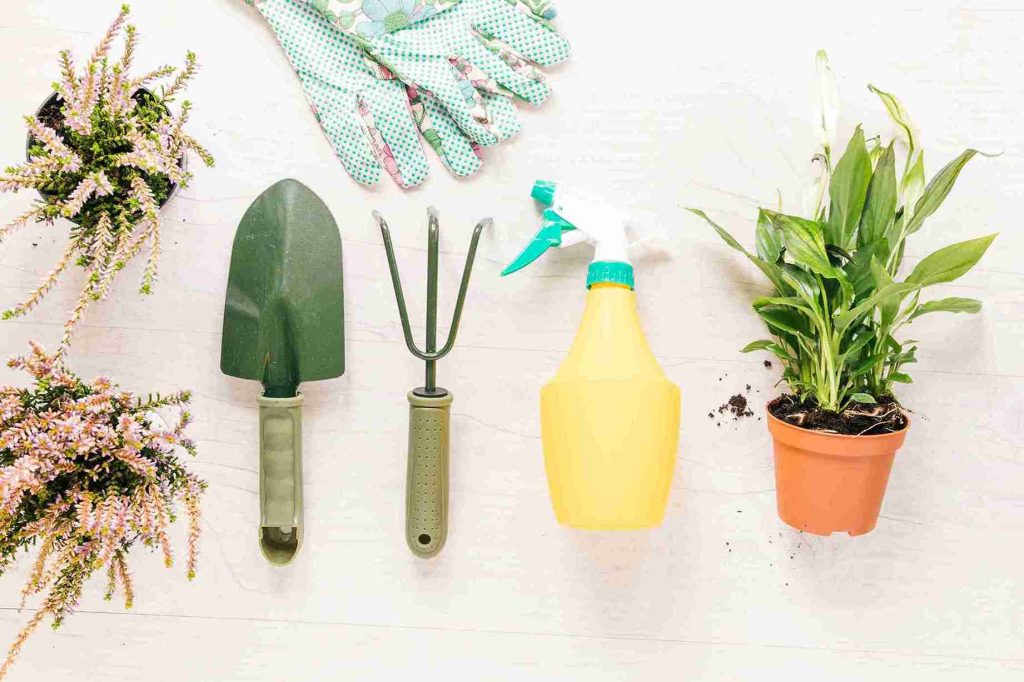 unusual-plant-care-tips-using-everyday-items