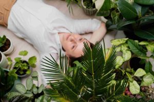 Indoor plants that release oxygen at night, promoting better sleep and air quality.