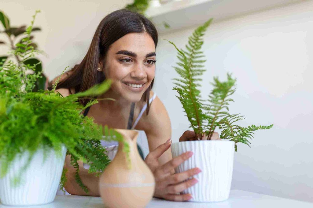 Best indoor plants for allergy sufferers, woman tending to ferns in a bright room.