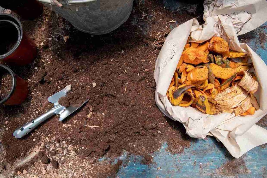 Kitchen waste like banana peels and food scraps used to make compost for indoor plants.